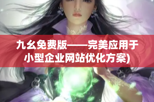 九幺免费版——完美应用于小型企业网站优化方案)