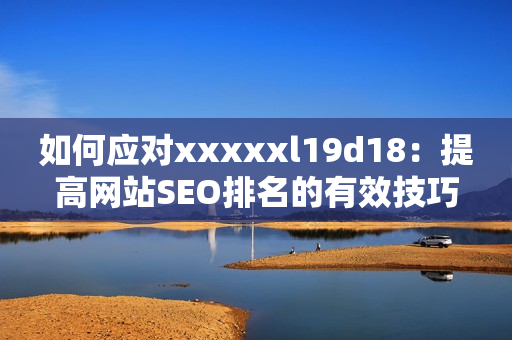 如何应对xxxxxl19d18：提高网站SEO排名的有效技巧