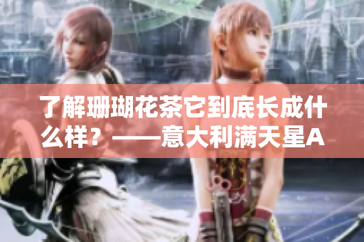 了解珊瑚花茶它到底长成什么样？——意大利满天星A级的外观特点