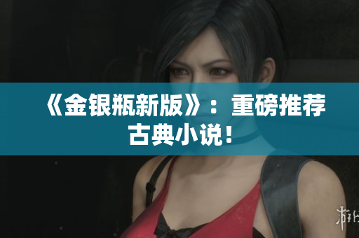 《金银瓶新版》：重磅推荐古典小说！