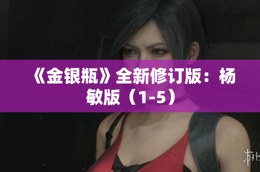 《金银瓶》全新修订版：杨敏版（1-5）