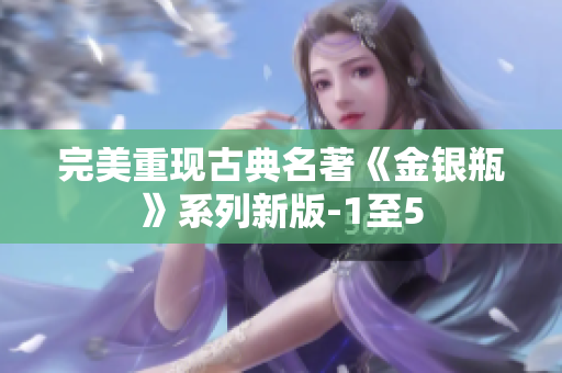 完美重现古典名著《金银瓶》系列新版-1至5