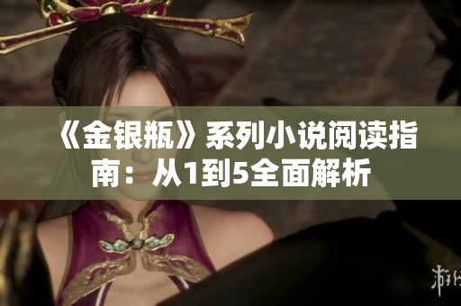 《金银瓶》系列小说阅读指南：从1到5全面解析