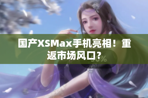 国产XSMax手机亮相！重返市场风口？