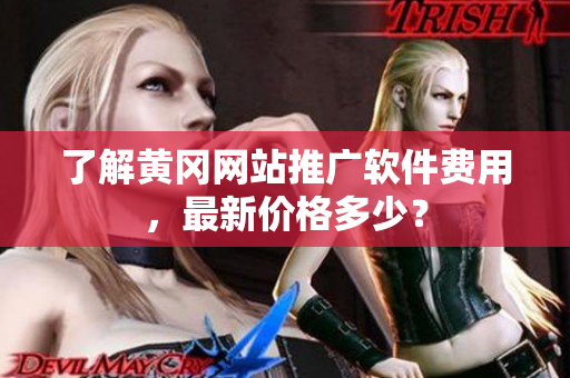了解黄冈网站推广软件费用，最新价格多少？