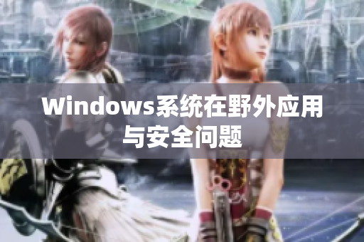 Windows系统在野外应用与安全问题