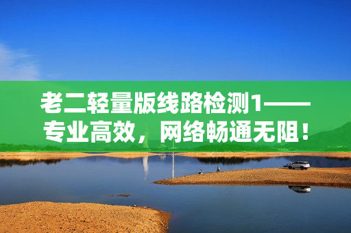 老二轻量版线路检测1——专业高效，网络畅通无阻！