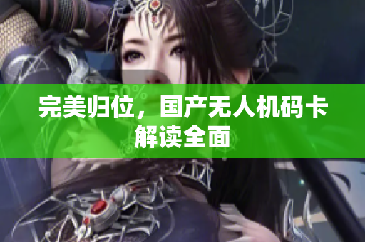完美归位，国产无人机码卡解读全面