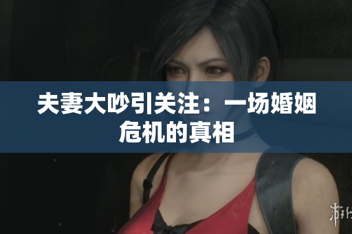 夫妻大吵引关注：一场婚姻危机的真相