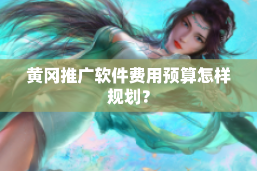 黄冈推广软件费用预算怎样规划？