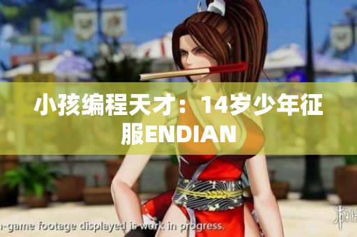 小孩编程天才：14岁少年征服ENDIAN