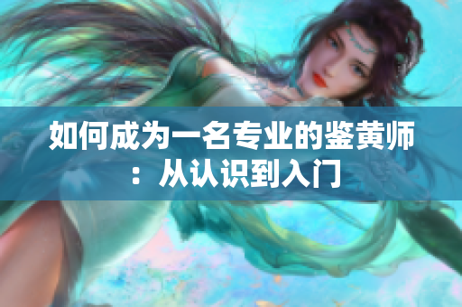 如何成为一名专业的鉴黄师：从认识到入门