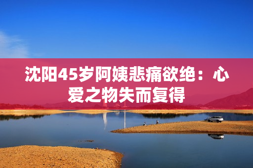 沈阳45岁阿姨悲痛欲绝：心爱之物失而复得