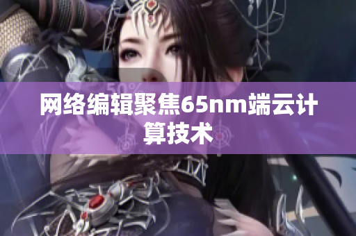 网络编辑聚焦65nm端云计算技术