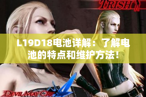 L19D18电池详解：了解电池的特点和维护方法！