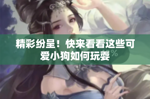精彩纷呈！快来看看这些可爱小狗如何玩耍