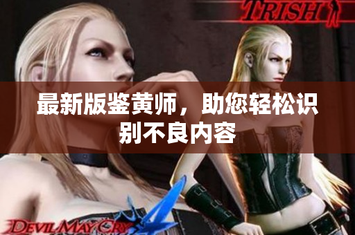最新版鉴黄师，助您轻松识别不良内容