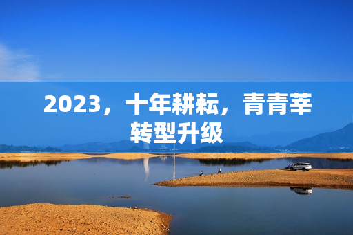 2023，十年耕耘，青青莘转型升级