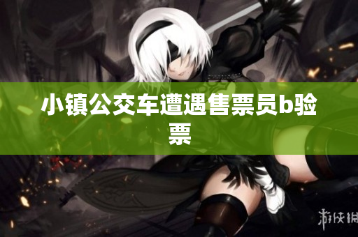 小镇公交车遭遇售票员b验票