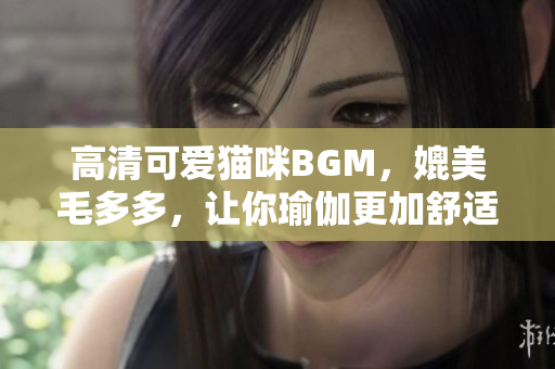 高清可爱猫咪BGM，媲美毛多多，让你瑜伽更加舒适