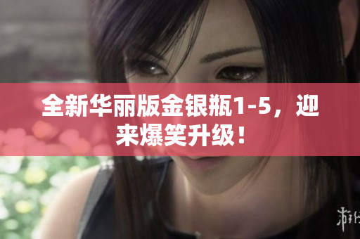 全新华丽版金银瓶1-5，迎来爆笑升级！