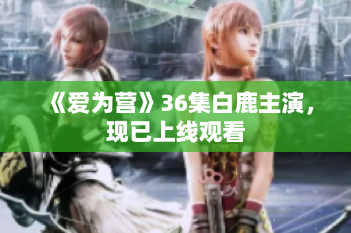 《爱为营》36集白鹿主演，现已上线观看