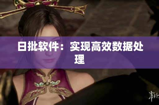 日批软件：实现高效数据处理