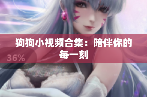狗狗小视频合集：陪伴你的每一刻