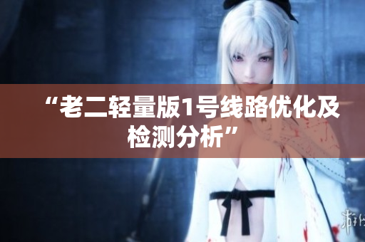 “老二轻量版1号线路优化及检测分析”