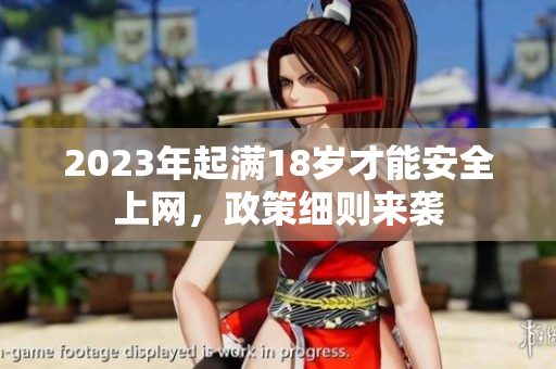 2023年起满18岁才能安全上网，政策细则来袭
