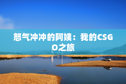 怒气冲冲的阿姨：我的CSGO之旅