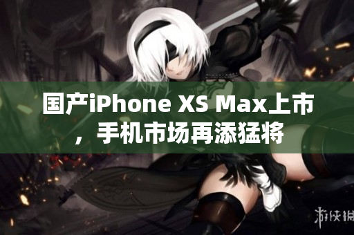 国产iPhone XS Max上市，手机市场再添猛将