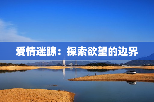 爱情迷踪：探索欲望的边界