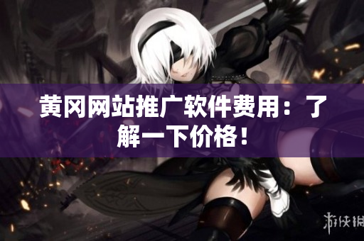 黄冈网站推广软件费用：了解一下价格！