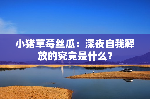 小猪草莓丝瓜：深夜自我释放的究竟是什么？