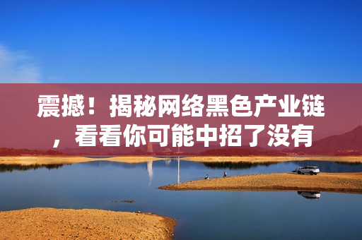 震撼！揭秘网络黑色产业链，看看你可能中招了没有