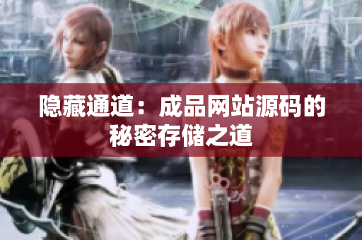 隐藏通道：成品网站源码的秘密存储之道