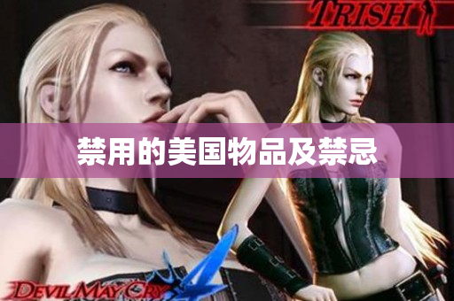 禁用的美国物品及禁忌
