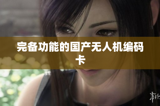 完备功能的国产无人机编码卡