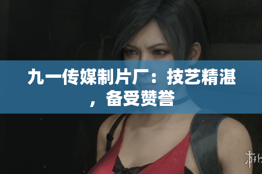 九一传媒制片厂：技艺精湛，备受赞誉