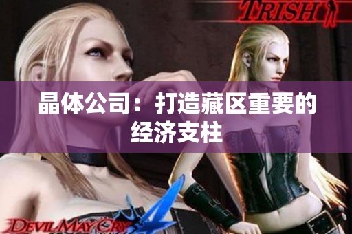 晶体公司：打造藏区重要的经济支柱