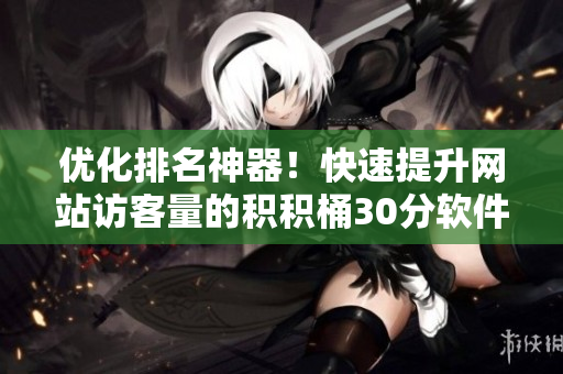 优化排名神器！快速提升网站访客量的积积桶30分软件