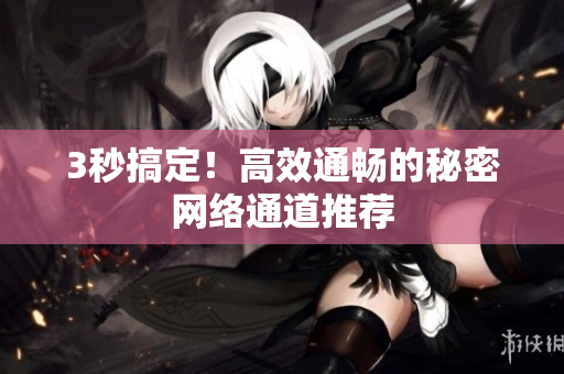 3秒搞定！高效通畅的秘密网络通道推荐