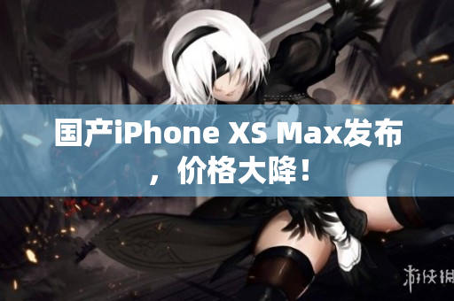 国产iPhone XS Max发布，价格大降！