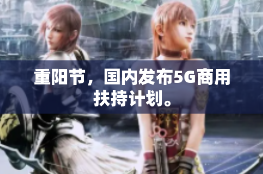 重阳节，国内发布5G商用扶持计划。