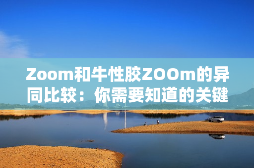 Zoom和牛性胶ZOOm的异同比较：你需要知道的关键信息