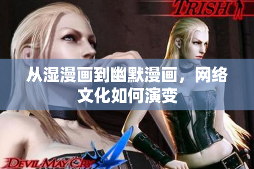 从湿漫画到幽默漫画，网络文化如何演变