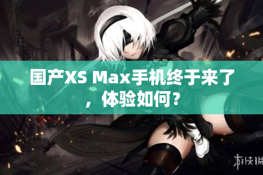国产XS Max手机终于来了，体验如何？