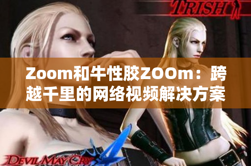 Zoom和牛性胶ZOOm：跨越千里的网络视频解决方案