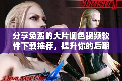 分享免费的大片调色视频软件下载推荐，提升你的后期制作功力